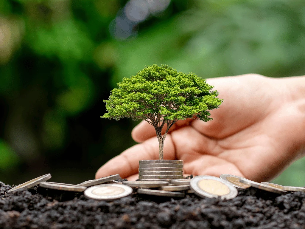 environmental clearance conditions validity monitoring and reporting requirements